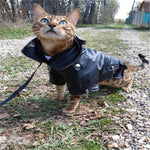 Load image into Gallery viewer, Leather Vest For Pets
