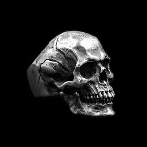 Calvarium Skull