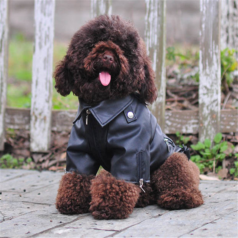 Leather Vest For Pets