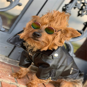 Leather Vest For Pets
